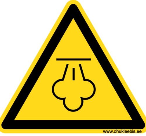 W080 - Hoiatusmärk. ISO 7010. Oht! Kuum aur. Põletusoht